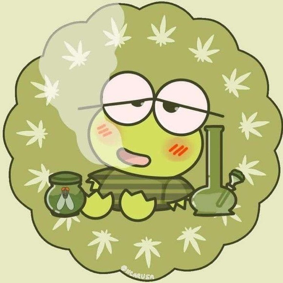 Meet your Posher, Niko - Picture 1 of 5